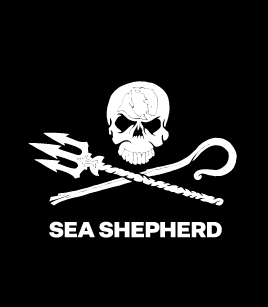 Loja da Sea Shepherd Brasil