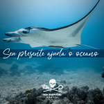 Vale Presente Sea Shepherd Brasil