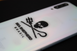 Trio Adesivos Sea Shepherd Brasil - Imagem 9