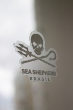 Trio Adesivos Sea Shepherd Brasil - Imagem 5